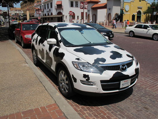 Passt zu den Stockyards 