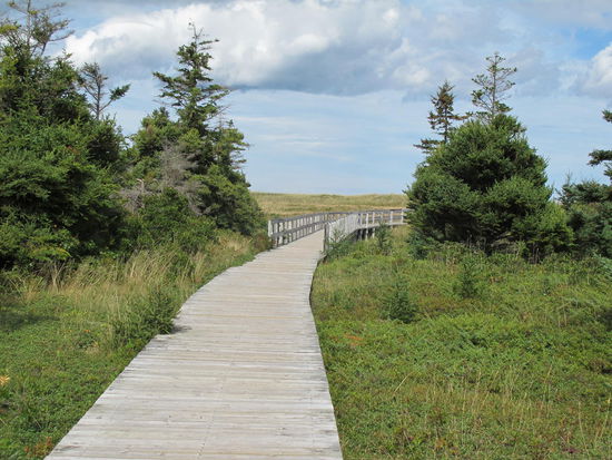 Weg zum Pomquet Beach