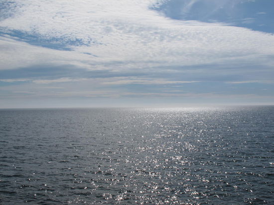 Beim Warten auf Wale