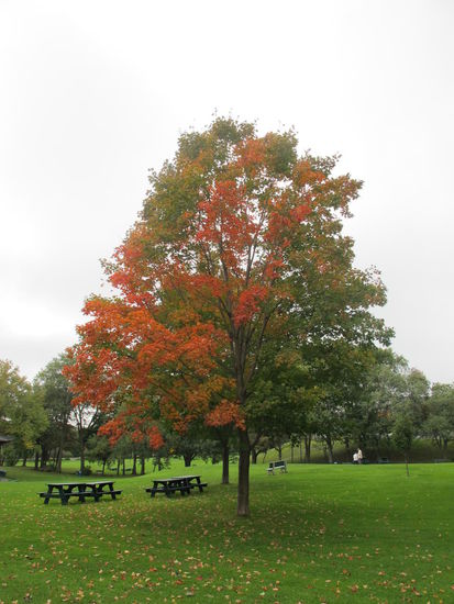 Indian summer im Battlefields Park