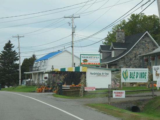 Unterwegs gabs öfters Mais...