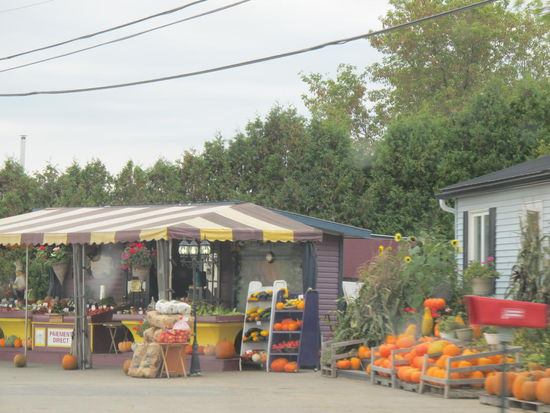 ...oder Kürbisse zu kaufen