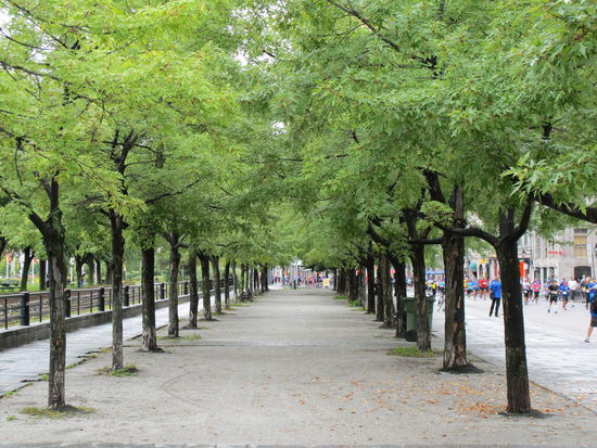 Allee am Vieux Port