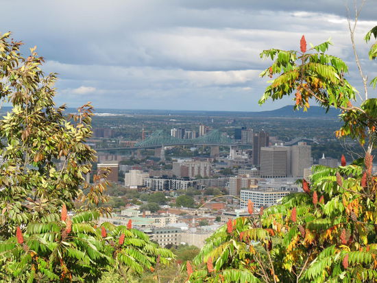 Blick von der nördlichen Seite des Mont-Royal auf die Stadt