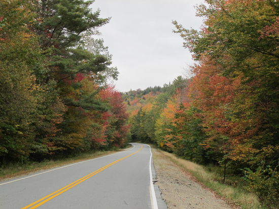So schön bunt sah es öfters aus