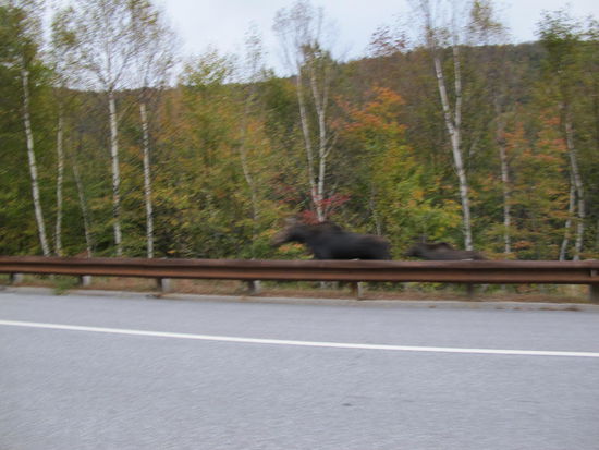 Bißchen verschwommen, Mutter mit Kind