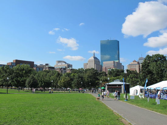Boston Common mit nem Teil der Skyline und der Hundeshow