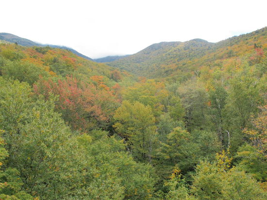 Indian Summer beginnt