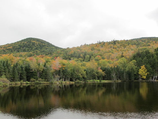 Nahe dem Mount Washington Hotel