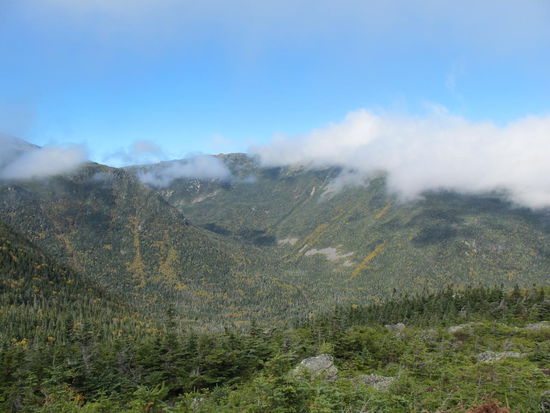 Die Vegetation verändert sich entsprechend der Höhe