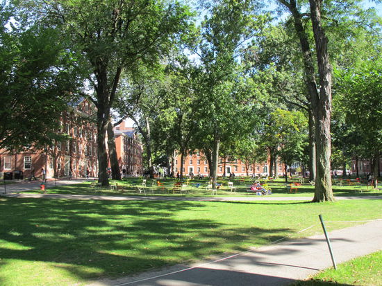 Grünfläche zwischen Harvard Hall und University Hall