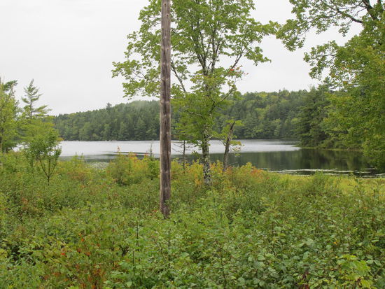 Ein kleiner See am Highway 8