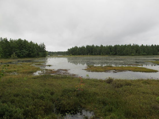 Wieder einer von vielen Seen auf Nova Scotia
