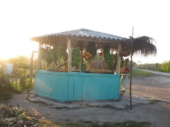 Der Obststand am Straßenrand