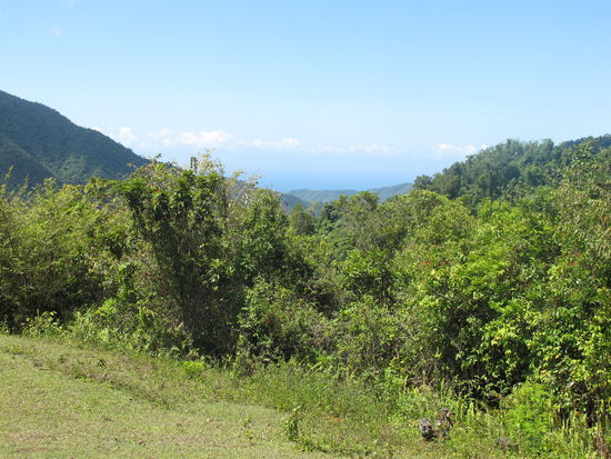 Tolle Aussicht von da oben