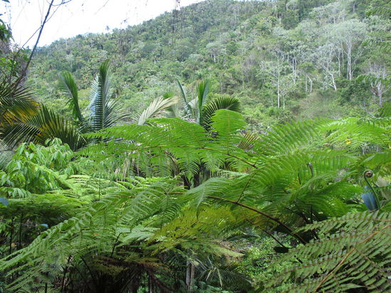 Wahnsinnig schöne Landschaft in der Sierra Maestra
