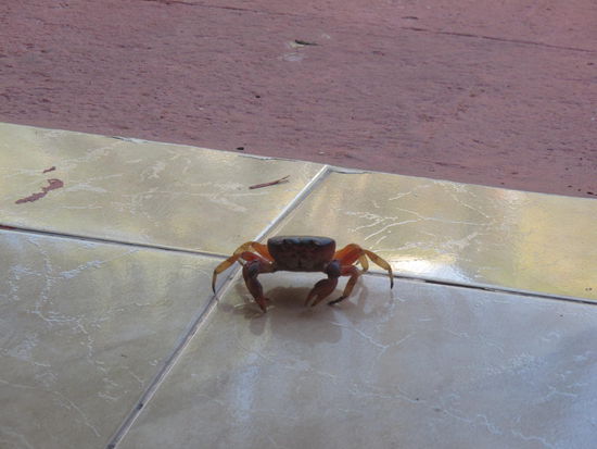Ein weiterer Hotelgast