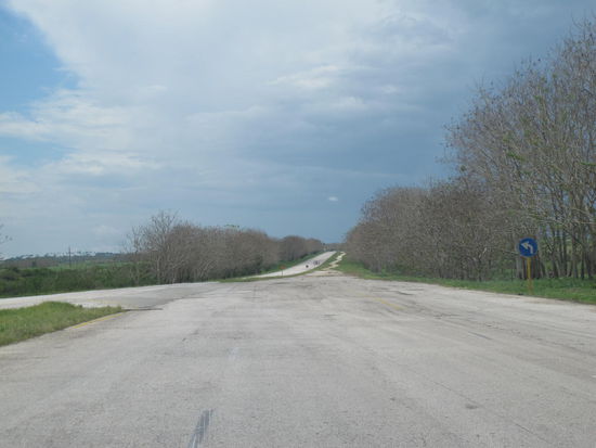 dito