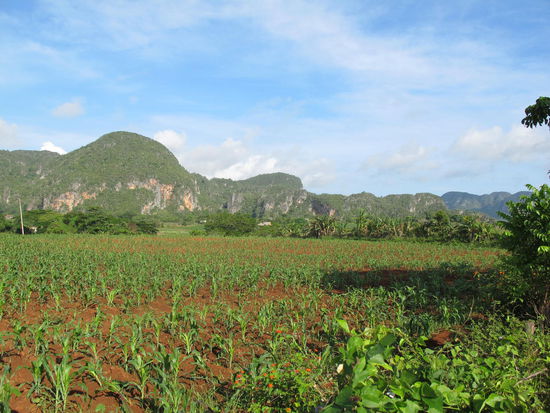 Es geht los ins Valle de Vinales