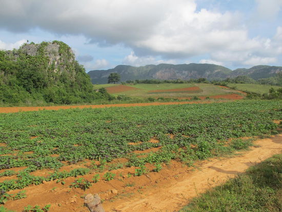 Blick aufs Valle de Vinales