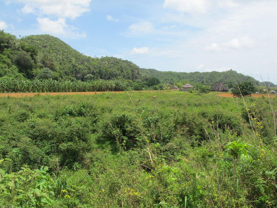 Letzter Blick vom Pferd übers Valle de Vinales