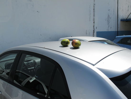 Die tollen Mangos der Polizisten