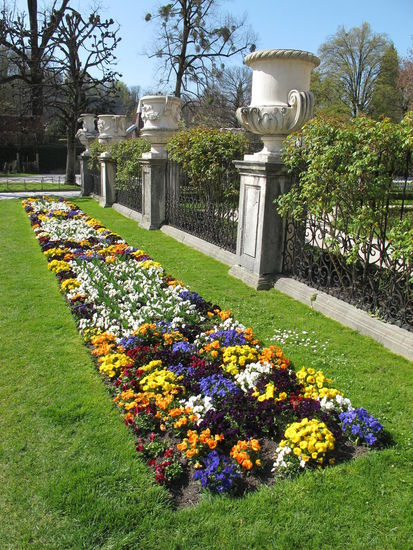 Die blühten aber scho...