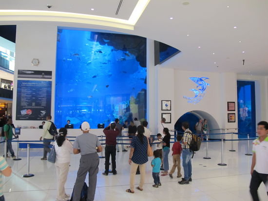 Dubai Aquarium