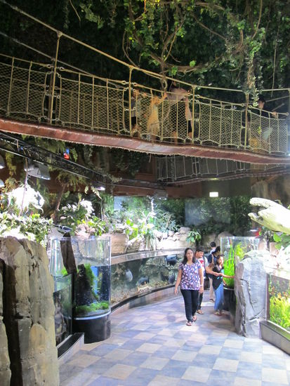 Der Unterwasserzoo gehört auch zum Dubai Aquarium