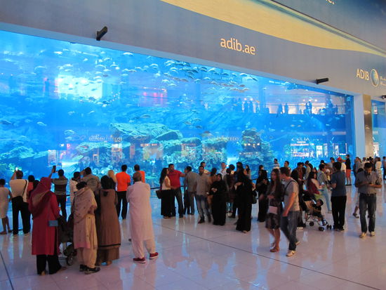 Nochmal die große Glaswand des Dubai Aquariums
