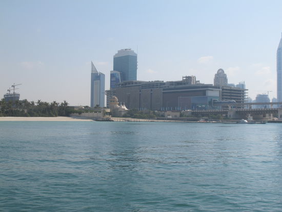 Vorher geht's noch durch die Palme hindurch 