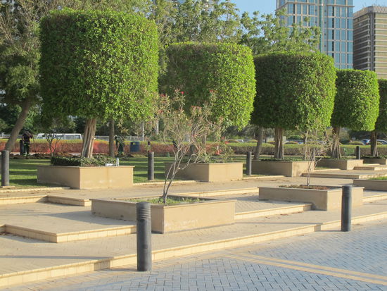 Gestylte Bäume an der Corniche