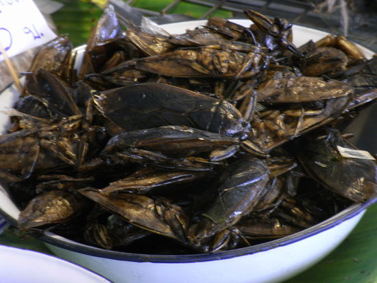 Imbiss zwischendurch gefaellig?