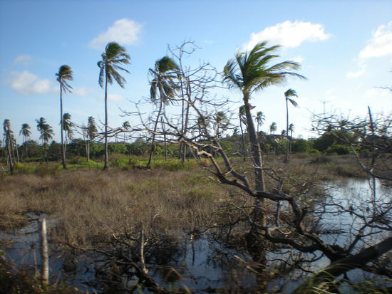 unerwartete Eindrücke