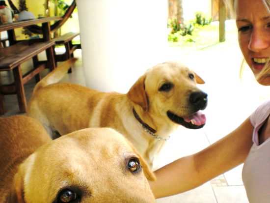 neue Freunde: Bob und Sky