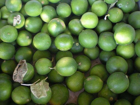 aus den Frucht Buden