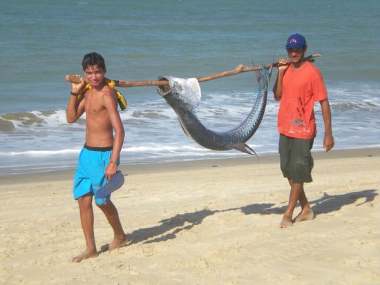 am Strand von Cumbuco