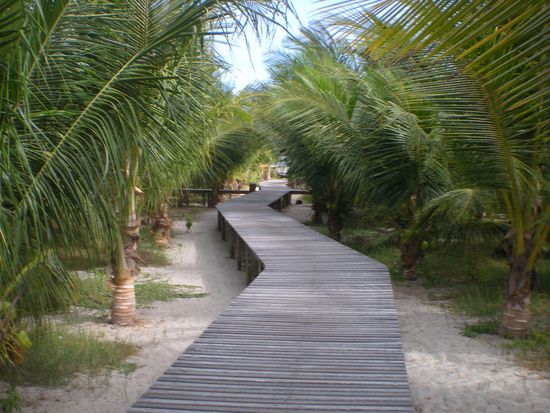 Pfad in der Vila Prea