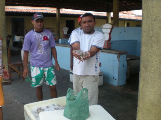 auf dem Markt von Itarema