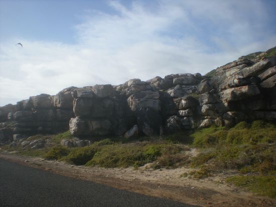 auch im Cape Nationalpark