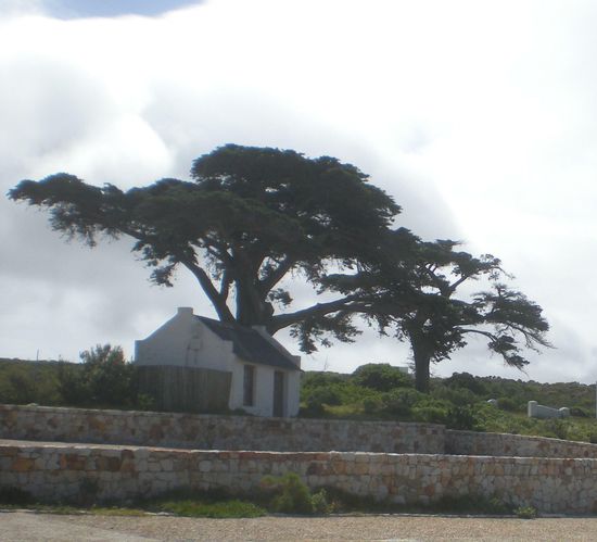 Und  jetzt noch einen ganz fetten Knutscher an das andere vandelööchen und meine Brüderchen!!!!! Alles Liebe und Danke für Eure lieben Mails!!!!