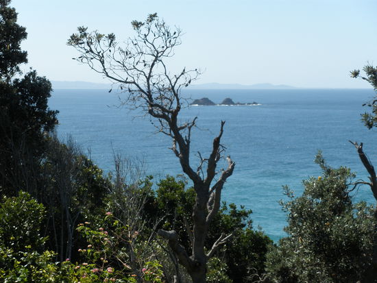 im hintergrund Julian Rocks