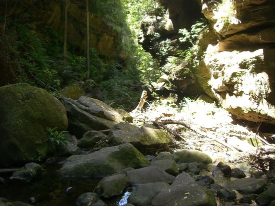 So sah unser erster Wanderweg aus..