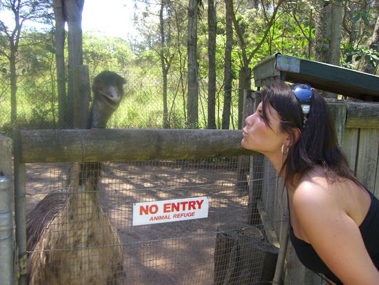Na du!Kiss me.. Nee will nicht.. Ernstes Gespraech mit einem Emu..