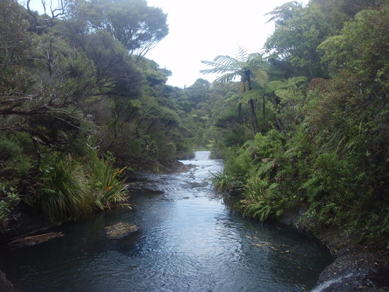 Blue Canyon - Auckland "Der Spielplatz fuer grosse Kinder ... jumps, slide, abseil &amp; scramble