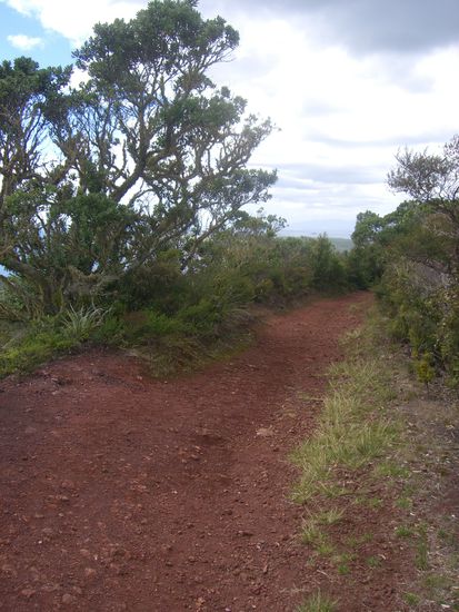 An dem Tag nach meiner langen Partynacht...  Hat es mich mal wieder in die Natur verschlagen.. Ab auf die Ferry und auf nach "Rangitoto Island - bloody sky in Maori"... Auch bekannt als das Lava Island... Sieht mal ja wohl...