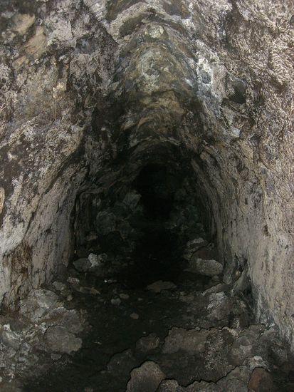 Hm war ganz schoen dunkel da unten und viel nette Mitbewohner habe ich getroffen.. Meine neuen Freunde die Spinnen...