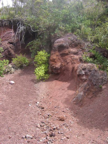 Juhu wieder heiele ueber der Erde und ohne Schwefelgeruch... Bye bye Caves, war nen nettes Abenteuer.. Ab zum Festland in die City...