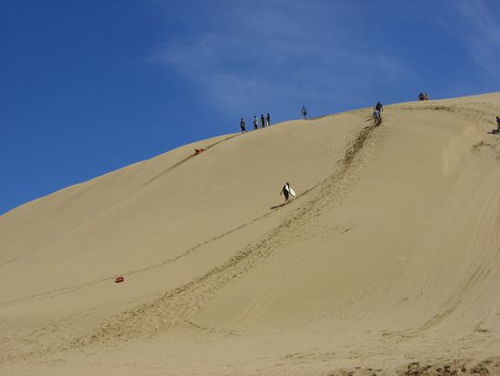 Und da sind wir schon... Sandboarding at Te Paki Stream.. Da muessen wir auch gleich rauf...