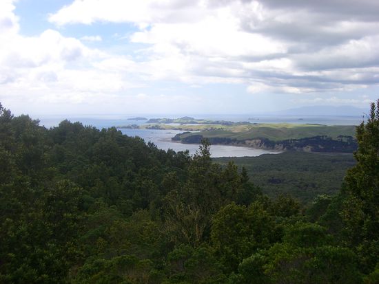 The Redwoods... Whakarewarewa Forest.. Rotorua